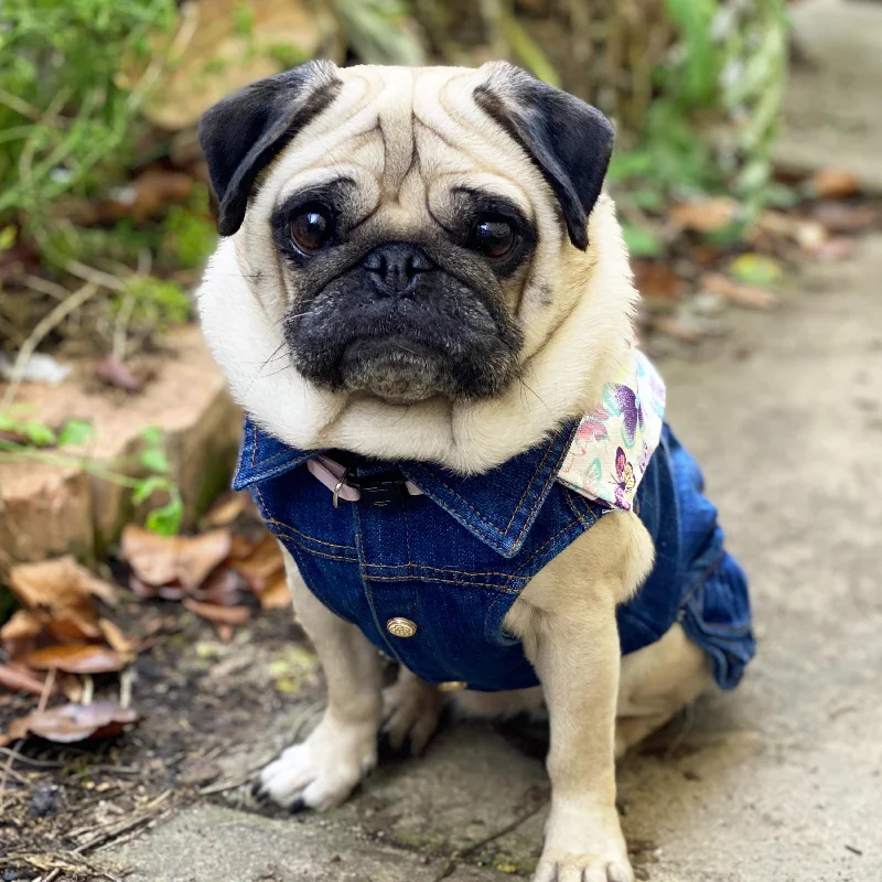 Denim Pug Dress